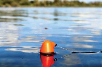 Catching Carp Off The Top