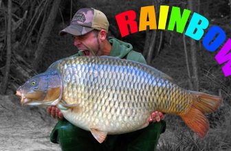 Rainbow Lakes – Mozza Documents his Adventures