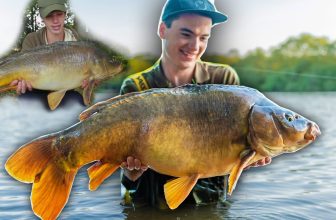 SAME fish 6 years later… Carp Fishing at the Estate Lake