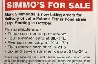 Simmos for sale!