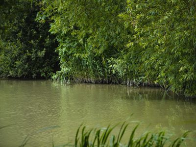 Heath Lake Avalon Fisheries