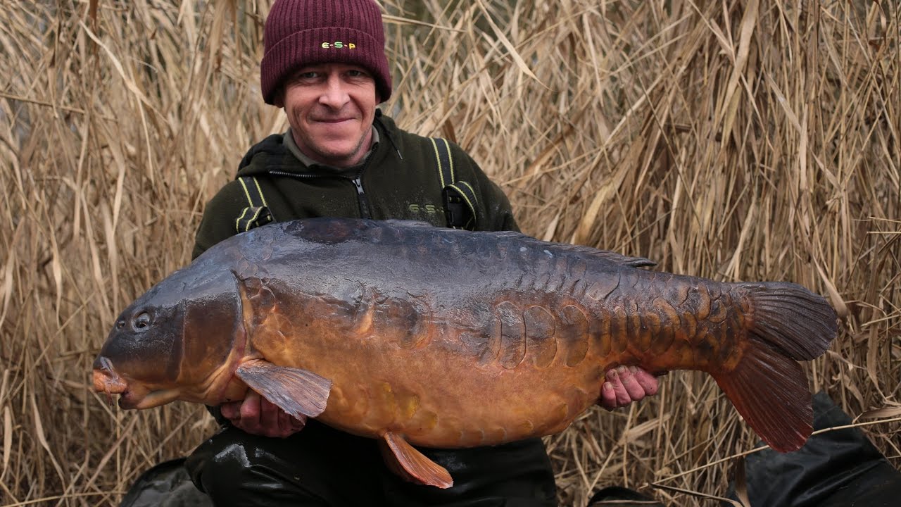 Terry Hearn with The Parrot