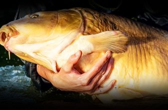 The HUGE CARP I thought I’d never catch… Reservoir Diaries Season 3