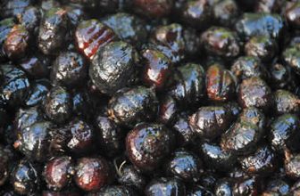 Hull Particle Black Tiger Nuts