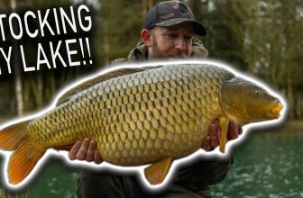 UK Carp to 46lb | CARPLIFE (Mark Pitchers Carp Fishing)