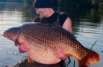 A victory for carp anglers!