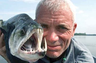 The end of River Monsters!