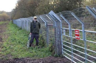 Wingham protects its stocks