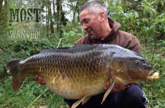Yateley North Lake Fish Deaths