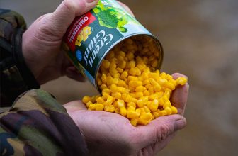 Sweetcorn for carp fishing - is it one of the best baits