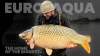 Home Of The 110LB+ CARP – ParkerBaits At Euro Aqua