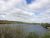 Abbey Meads Medway Valley Fisheries