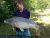 Admiral Lake Gabriels Fishery