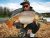 Alder Lake Coking Farm Fishery