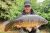 Alvaston Lake Earl of Harrington’s Angling Club