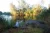 Andersons St ives Fishery