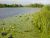 Baddiley Mere Wheelock Angling Society