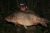 Barden Lake Tonbridge & District Angling & Fish Preservation Society