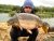 Barnstone Lakes
