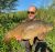 Basil Darenth Fishing Complex