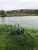 Bert’s Pool Hillside Fishery