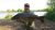 Big Lake Willow Park Fishery