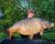 Bills Lake 4