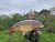 Booneys Manor Farm Lakes