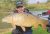 Bottom Lake Izaak Walton Fishery