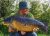 Bowl Carp Syndicate db Fishery