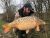 Bramley Lake Hartley Lands Fishery