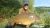 Bridge Pool Baden Hall Fishery