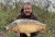 Broadacres Lake Croxley Hall Fisheries