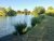 Brook Farm Fishery