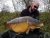 Burghfield Blue Pool Advanced Angling