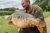 Caney Lake Hilton Valley Carp Fishery