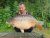 Carpfarm Lake