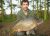 Carpvale Doubles Carpvale Fisheries