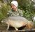 Catch 22 Fishery