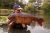 Churn Pool