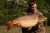 Clay Pit Fishery