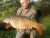 Clearwater Wensum Fisheries