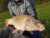 Creekmoor Estate Wimborne and District Angling Club