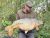 Croxley Hall Lake Croxley Hall Fisheries