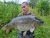Cudmore Fisheries