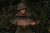 Doggetts Farm Essex Leisure Fisheries