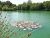 Eastmoore M & B Fishery