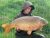 Fen Lane Carp Fisheries