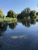 Gallions Lake Thamesmead