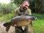 Gingerbread Lake Eaton Socon Fishery